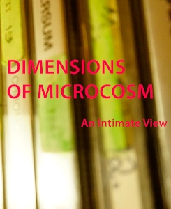 Link zum PDF-Photobuch
                    Dimensions of Microcosm